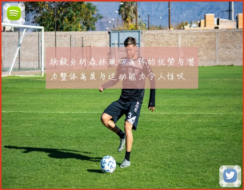 杨毅分析森林狼四高阵的优势与潜力整体高度与运动能力令人惊叹