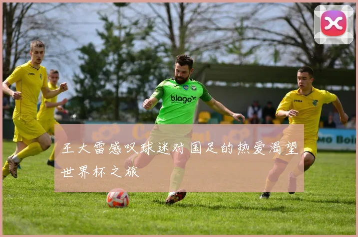 王大雷感叹球迷对国足的热爱渴望世界杯之旅